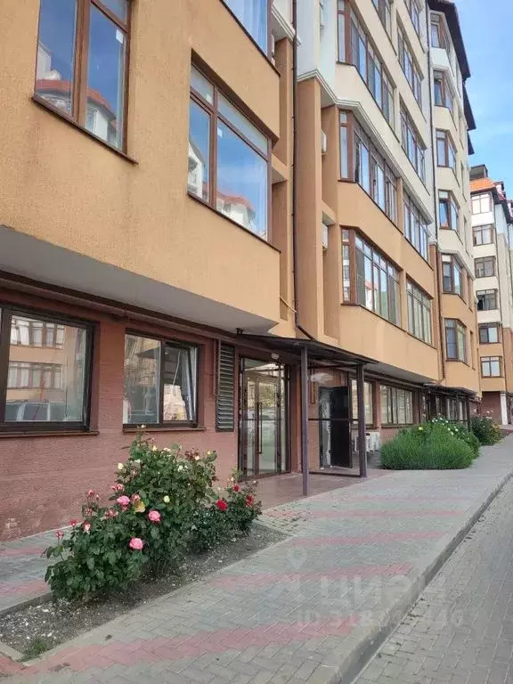 1-к кв. Краснодарский край, Геленджик Курортная ул., 14Бк1 (49.0 м) - Фото 1