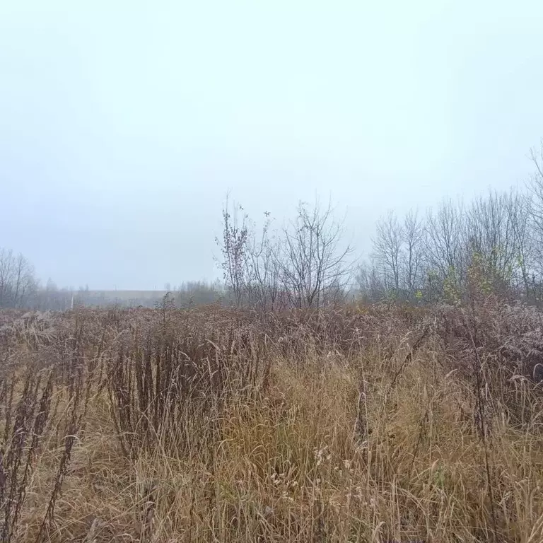 Участок в Брянская область, Брянский район, Добрунское с/пос, д. ... - Фото 1