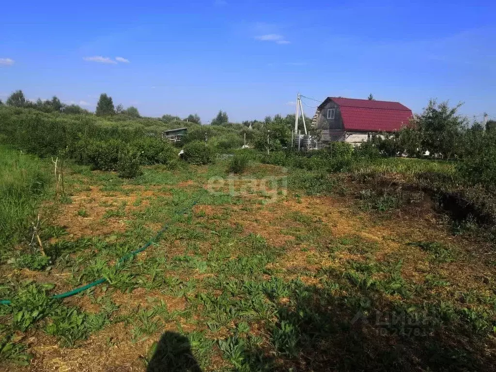 Участок в Московская область, Коломна городской округ, с. Октябрьское  ... - Фото 1