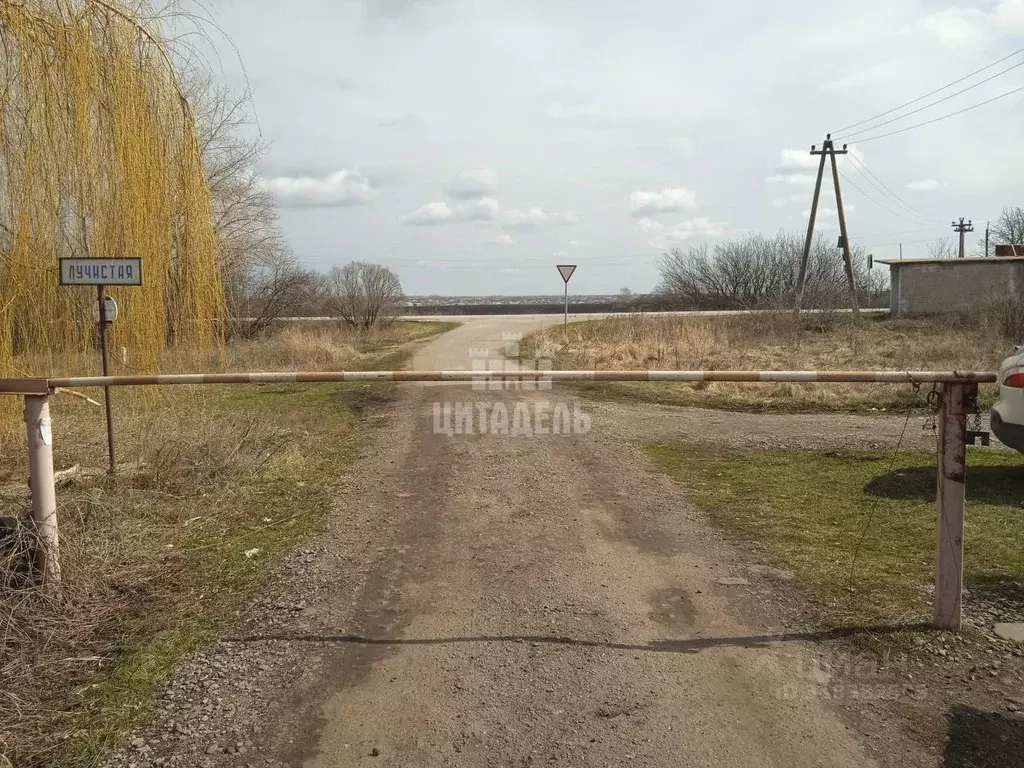 Участок в Воронежская область, Каширский район, Боевское с/пос, ... - Фото 0