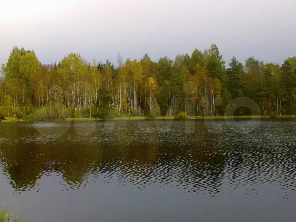 Участок 10 сот. (ИЖС) - Фото 0