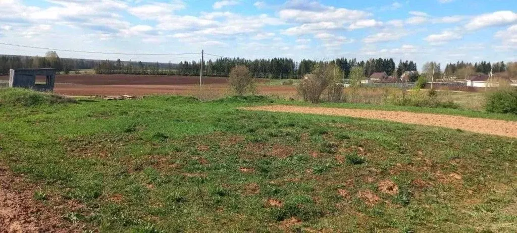 Участок в Кировская область, Слободской район, Стуловское с/пос, д. ... - Фото 1