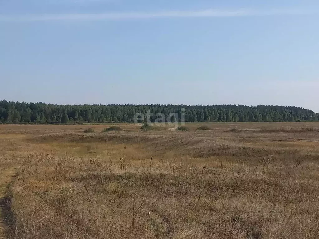 Участок в Липецкая область, Добровский муниципальный округ, с. Кривец  ... - Фото 0