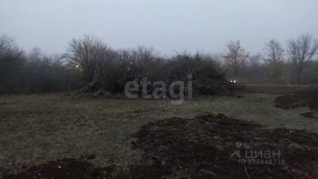 Участок в Ростовская область, Батайск Весна ДНТ, ул. 28-й Проезд (6.25 ... - Фото 2