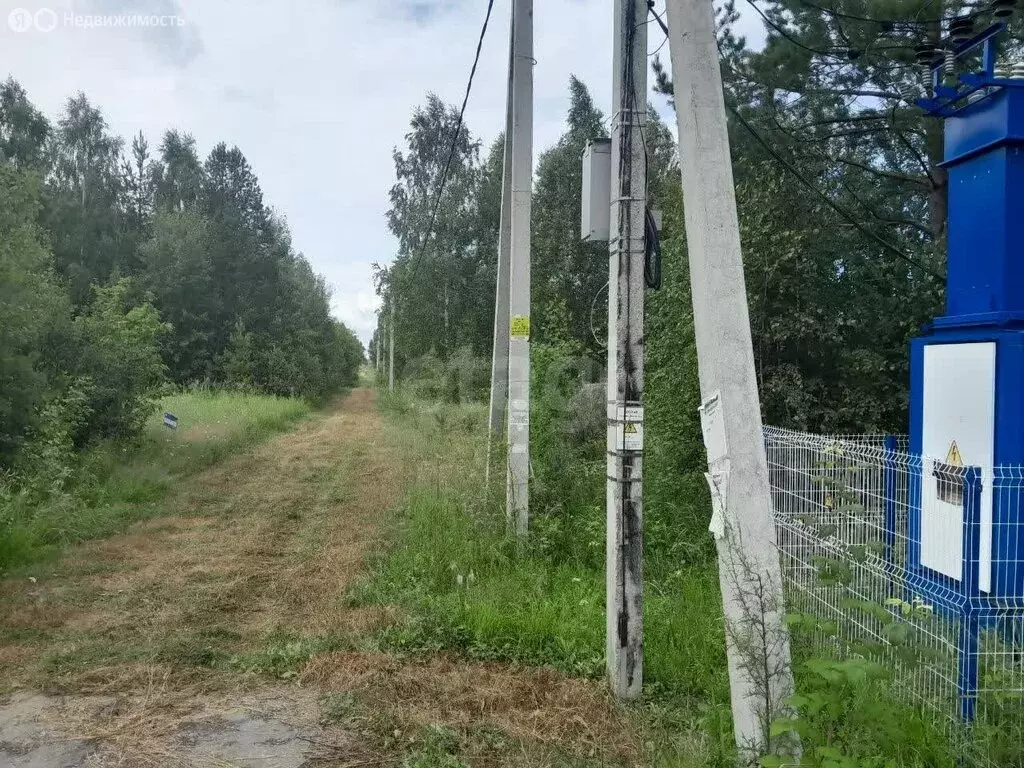 Участок в Ялуторовский район, ТСН СО Надежда, Спортивная улица (10 м) - Фото 1