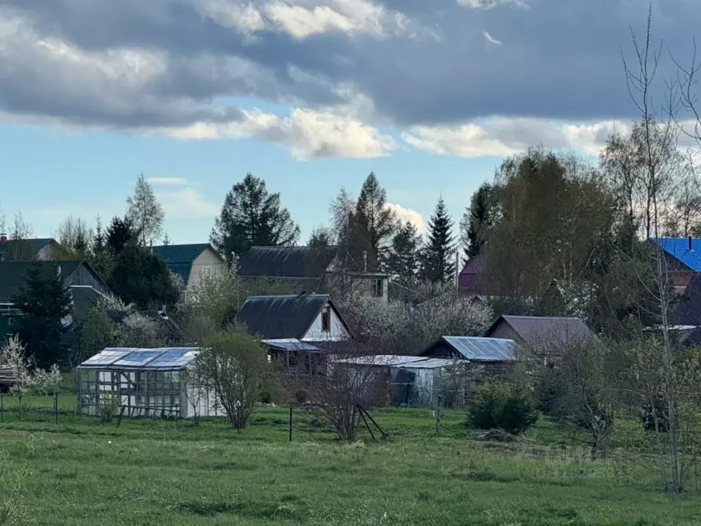 Участок в Московская область, Шаховская муниципальный округ, д. Дор  ... - Фото 1