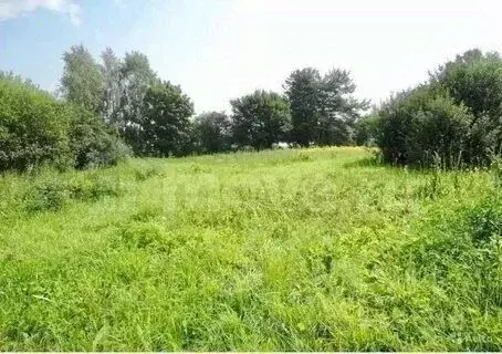 Участок в Калужская область, Малоярославецкий муниципальный округ, д. ... - Фото 2