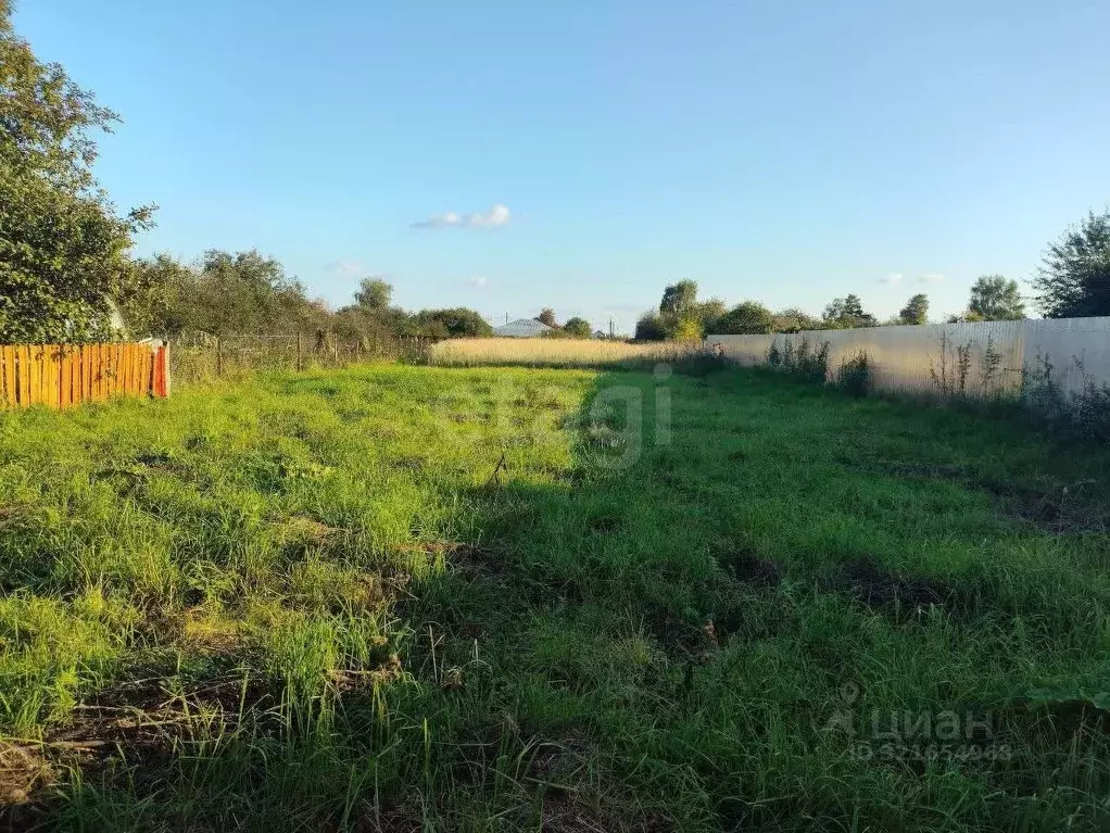 Участок в Владимирская область, Муром с. Чаадаево, ул. Советская, 36 ... - Фото 2