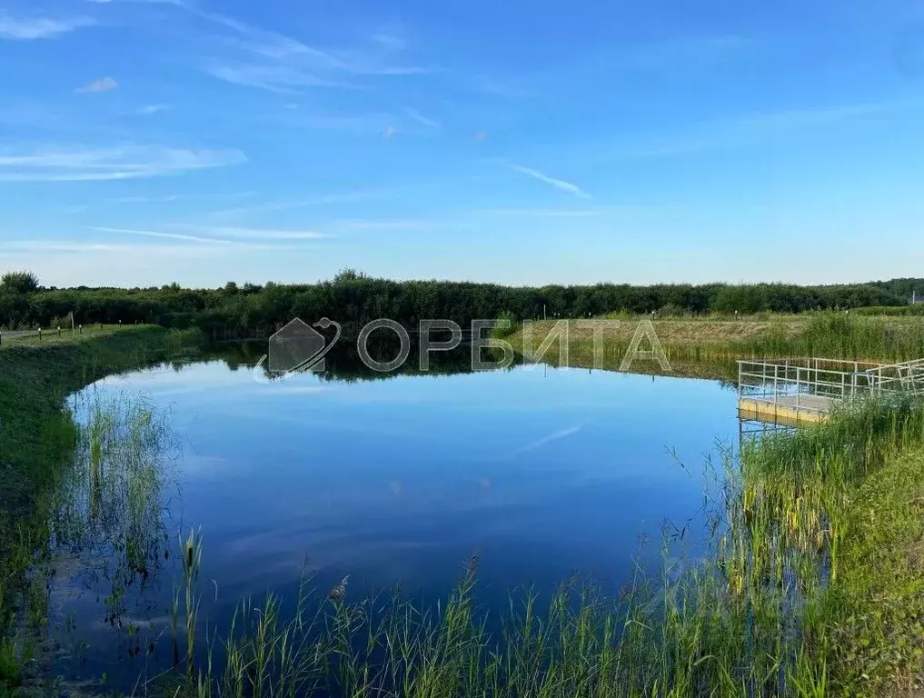 Участок в Тюменская область, Тюмень СОСН Березовое Озеро тер., ул. ... - Фото 0