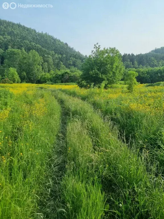Участок в Корсаковский городской округ, село Лесное, Морская улица ... - Фото 1
