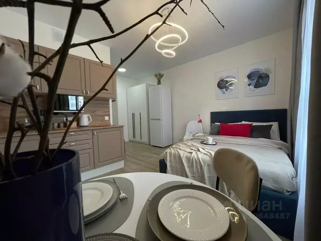 1-к кв. Московская область, Люберцы Зенино ЖК Самолет мкр, проезд ... - Фото 2