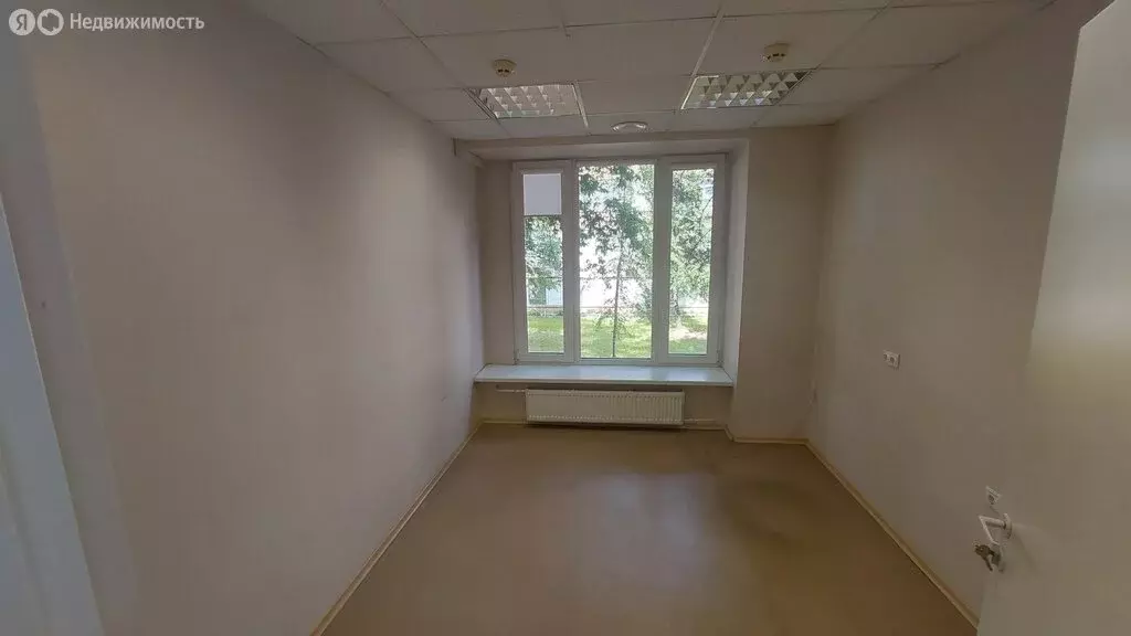 Офис (11.5 м) - Фото 1