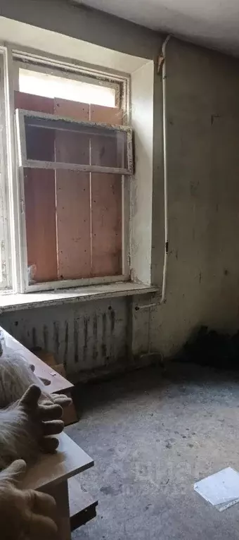 Помещение свободного назначения в Пермский край, Березники ул. ... - Фото 2