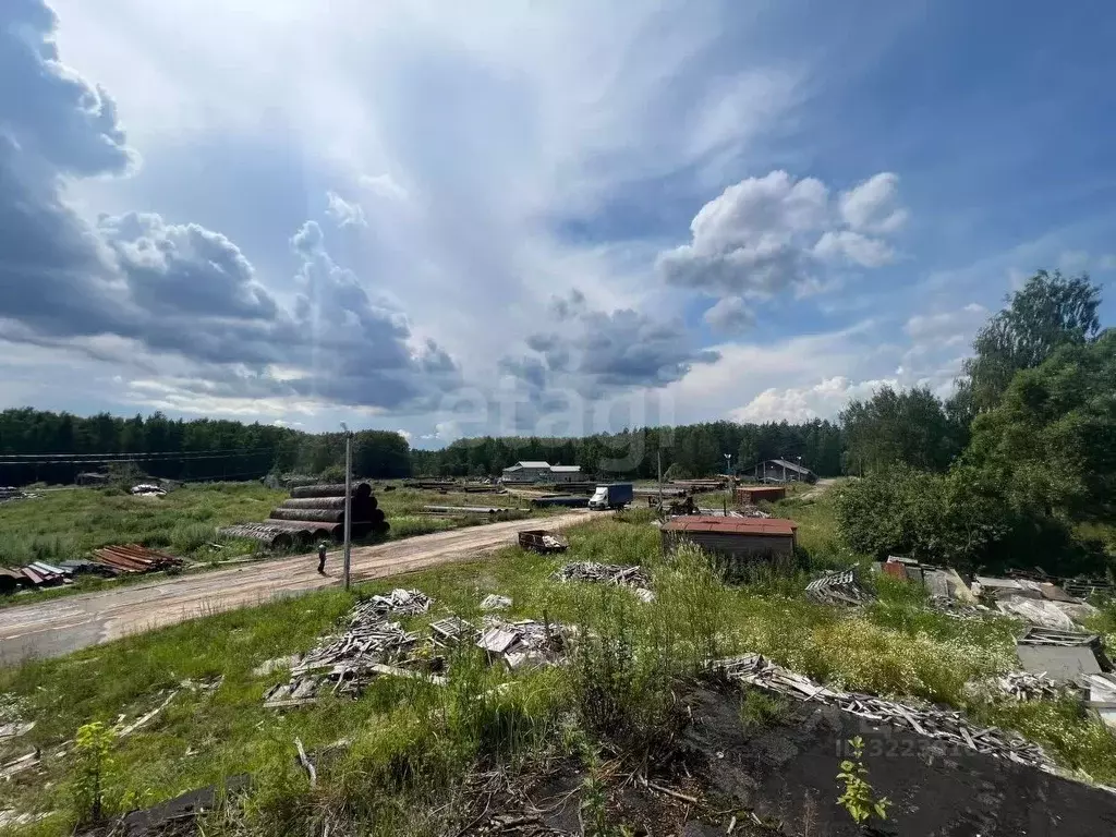 Участок в Владимирская область, Покров городской округ, д. Панфилово  ... - Фото 1