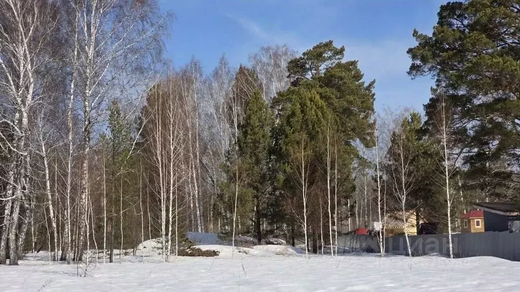 Участок в Томская область, Томский район, д. Кандинка ул. Ягодная ... - Фото 2