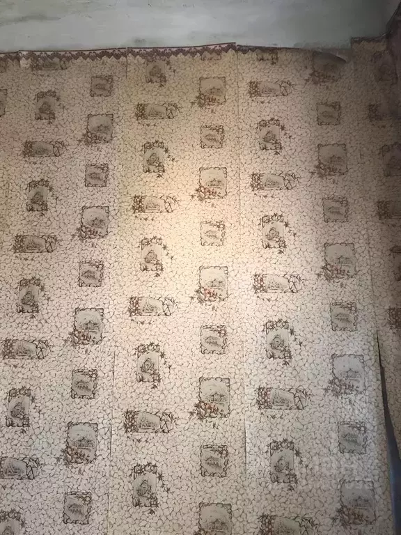 Комната Ростовская область, Ростов-на-Дону ул. Обороны, 66 (13.7 м) - Фото 2