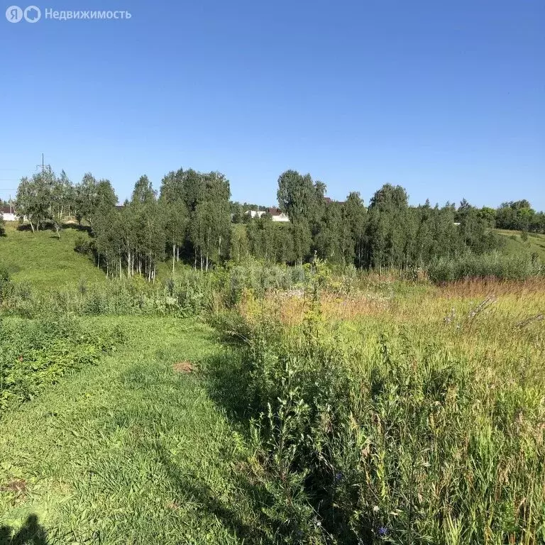 Участок в Брянский район, Глинищевское сельское поселение, село ... - Фото 1