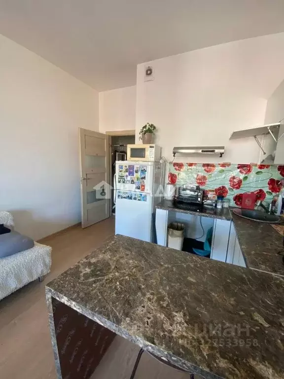 Студия Ленинградская область, Кудрово г. Всеволожский район, Заневское ... - Фото 1