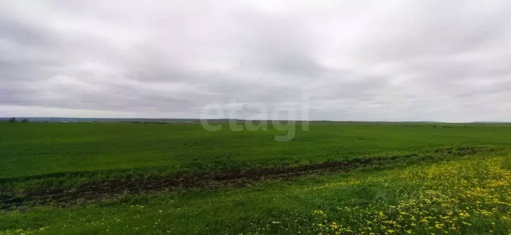 Участок в Крым, Ленинский район, Семисотское с/пос, с. Каменское ул. ... - Фото 1