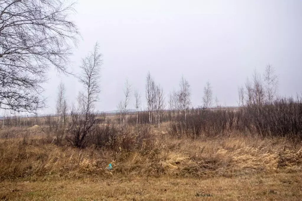 Участок в Тюменская область, Тюмень  (100.0 сот.) - Фото 0