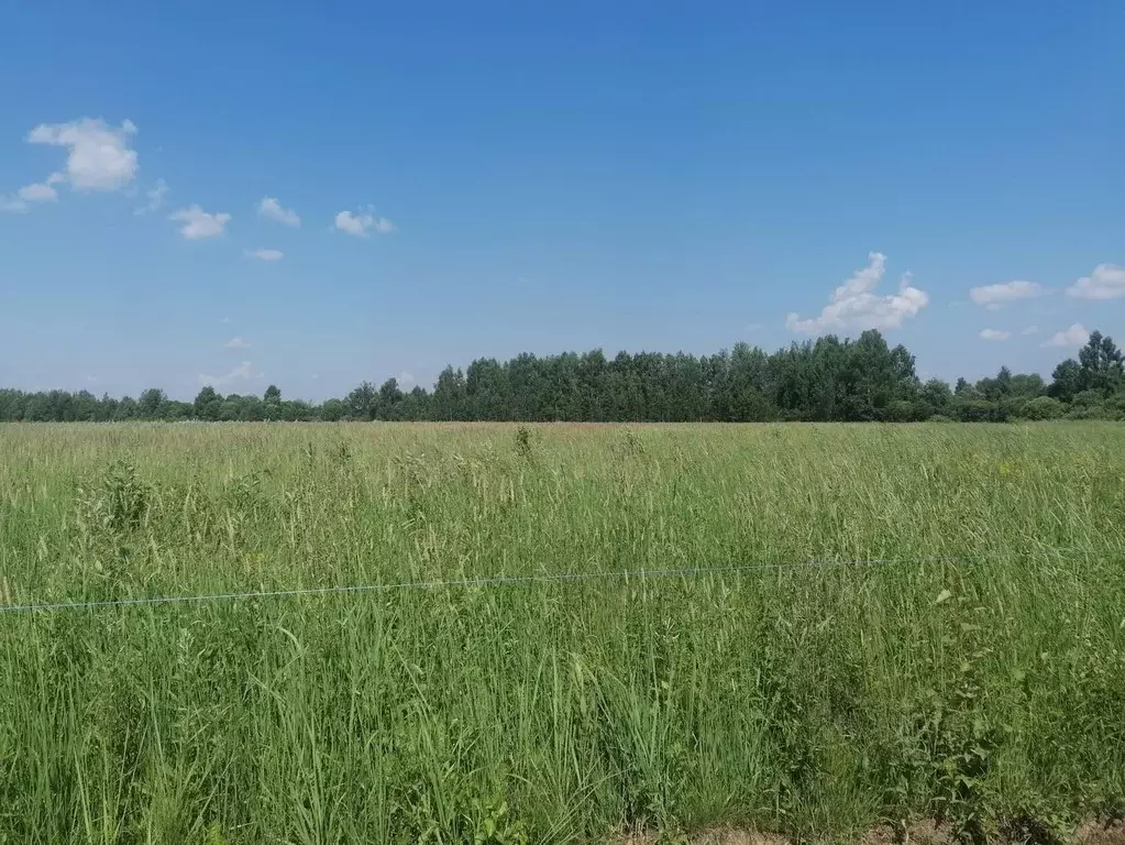 Участок в Московская область, Дмитровский городской округ, Раменье дп  ... - Фото 1