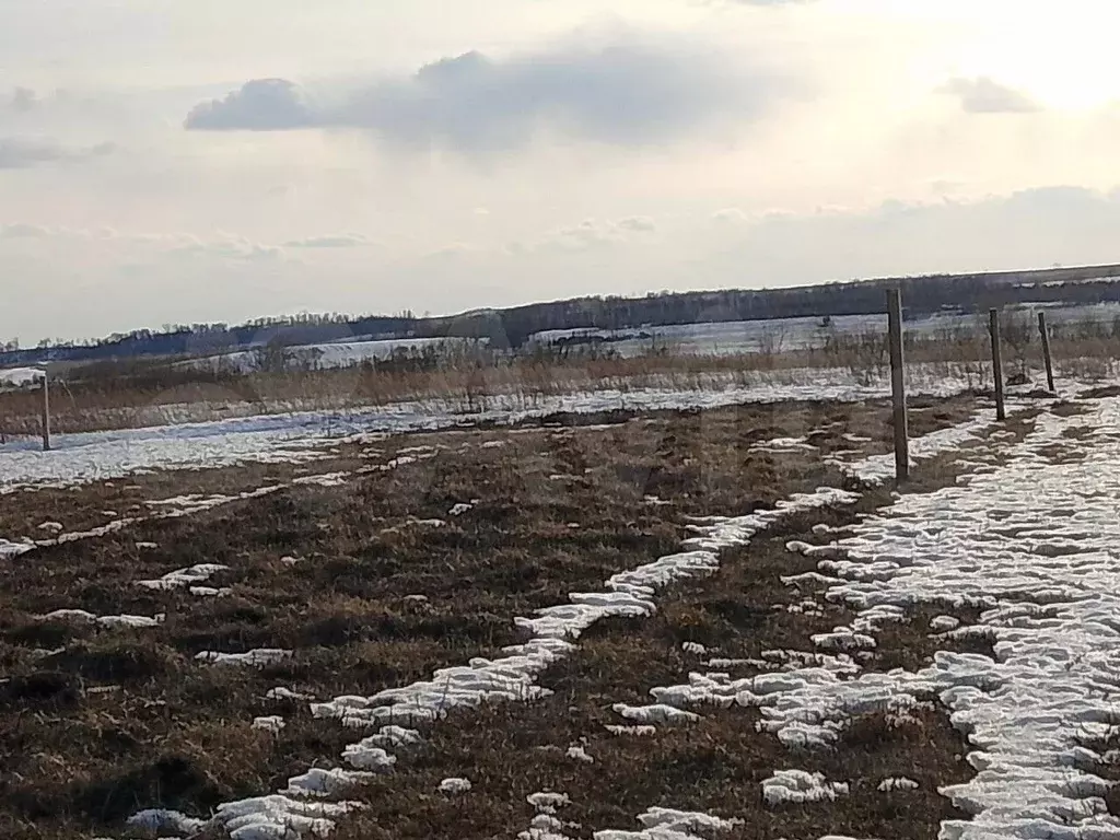 Участок 15 сот. (ИЖС) - Фото 0