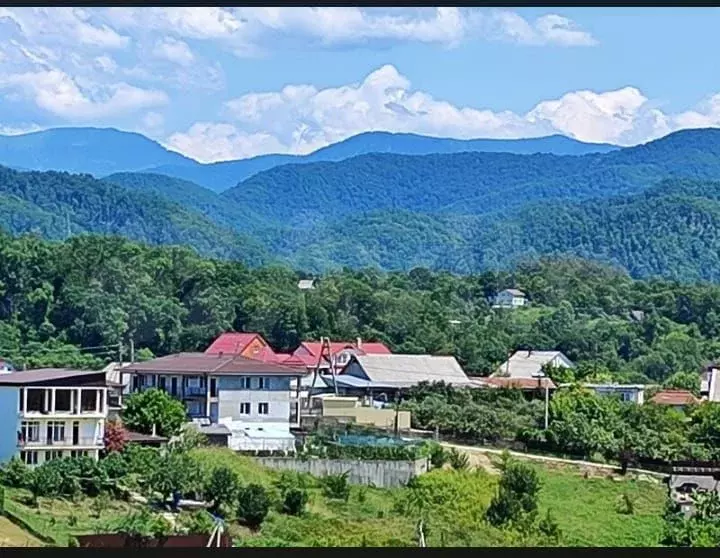 Комната 27 м в 1-к., 2/4 эт. - Фото 0