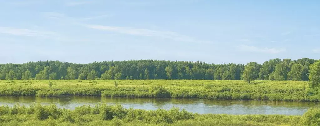 Участок в Московская область, Одинцовский городской округ, с. ... - Фото 1