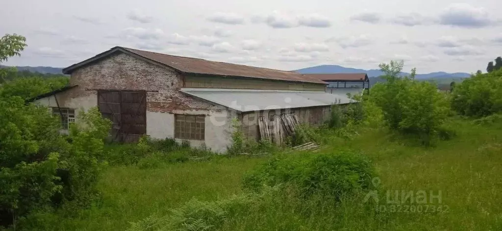 Склад в Алтайский край, Алтайский район, Айский сельсовет, с. Ая ул. ... - Фото 1