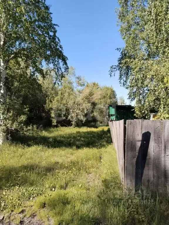 Участок в Ханты-Мансийский АО, Сургут Здоровье ДПК, ул. Клюквенная ... - Фото 1