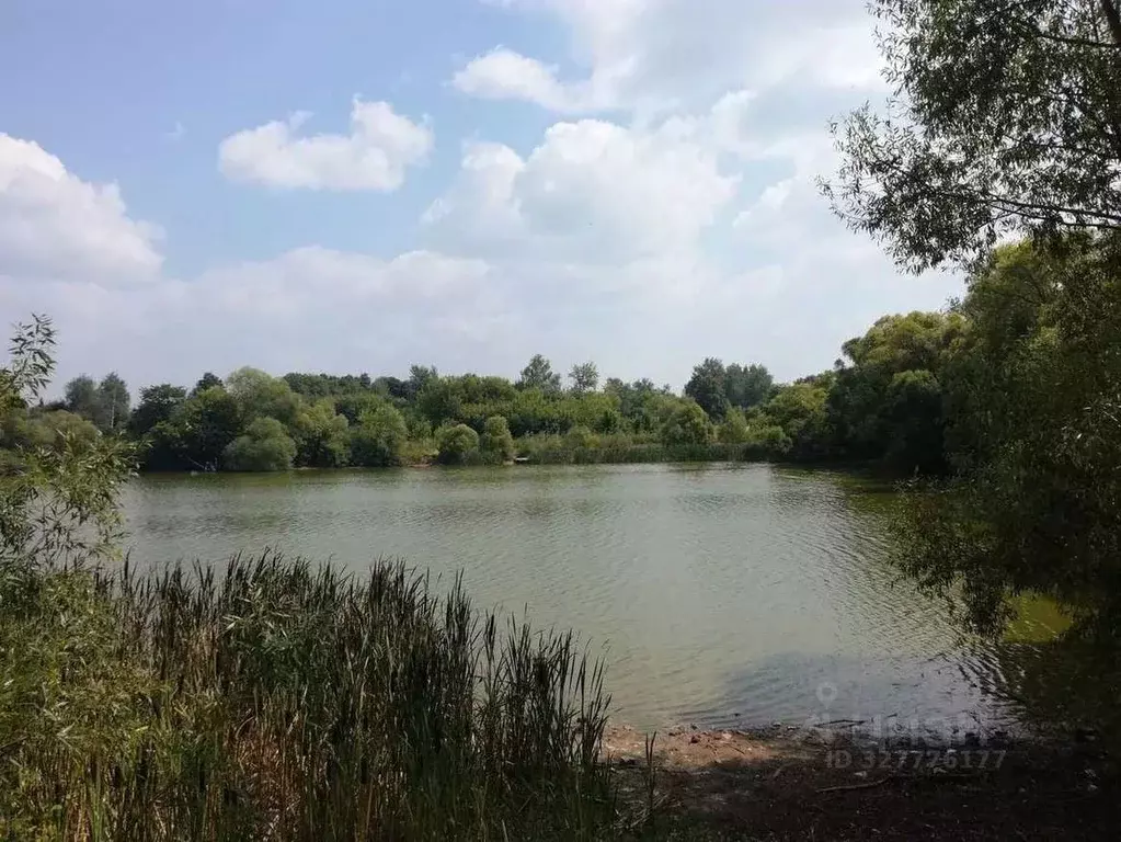 Дом в Рязанская область, Кораблинский муниципальный округ, д. ... - Фото 1