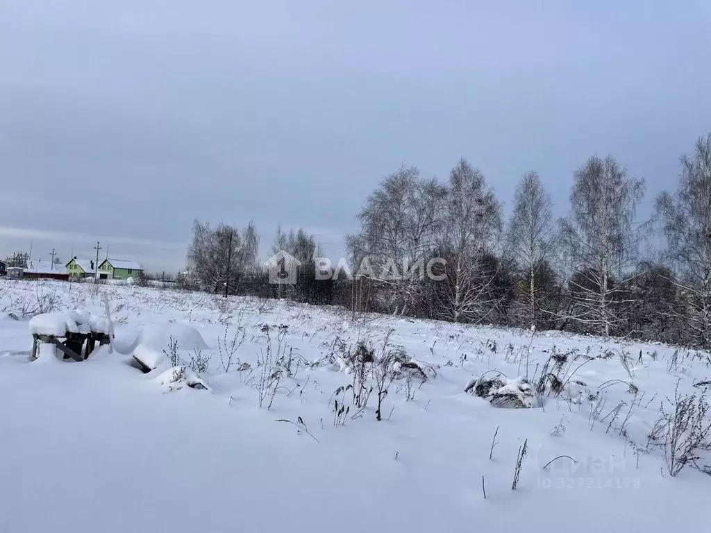 Участок в Нижегородская область, Кстово ул. Чернышевского (7.29 сот.) - Фото 2