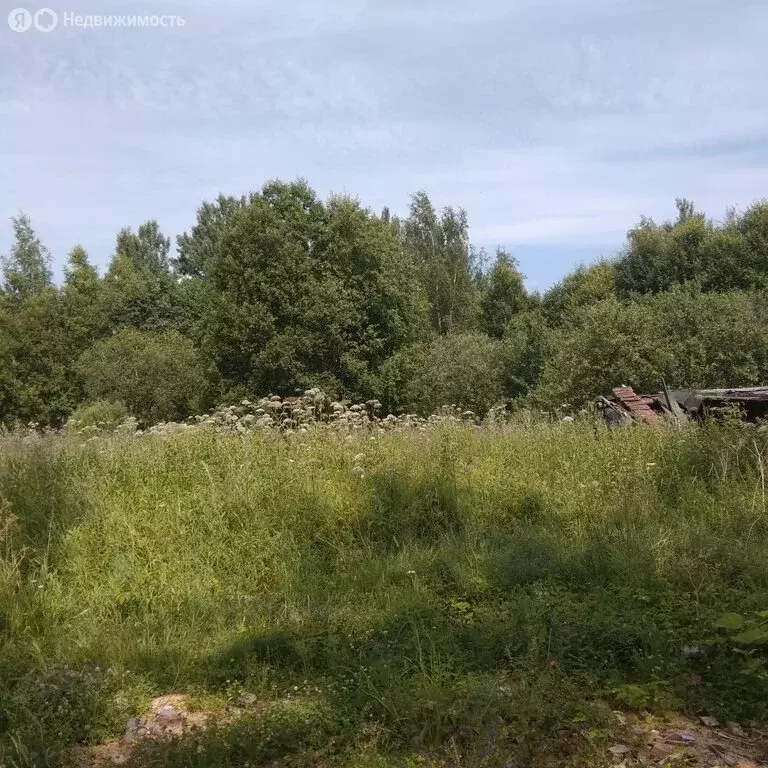 Участок в Новгородская область, Крестецкий муниципальный округ, М-10 ... - Фото 2