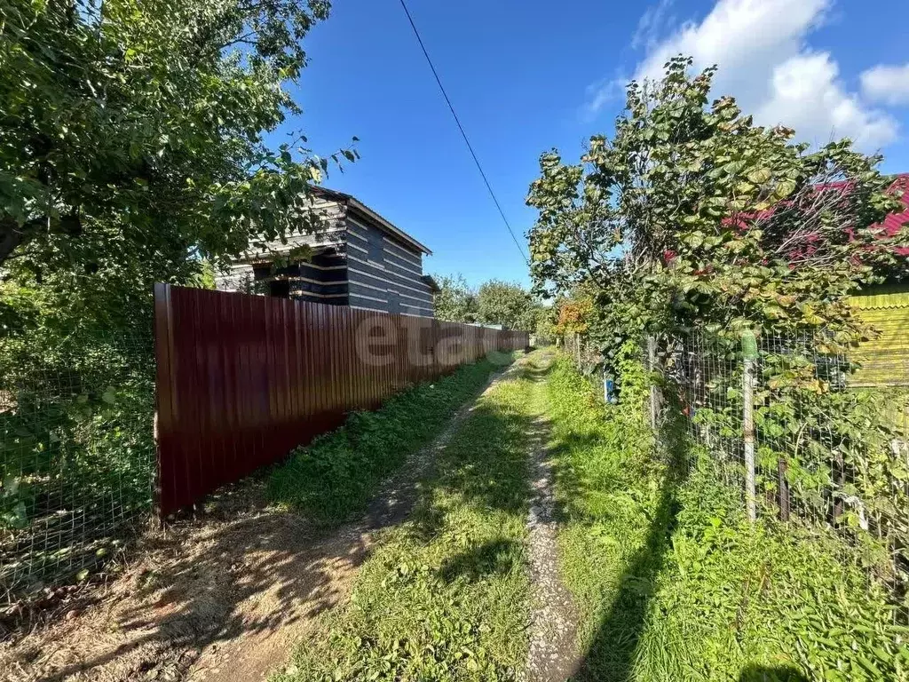 Участок в Хабаровский край, Хабаровск Остон садовое товарищество, 317 ... - Фото 2