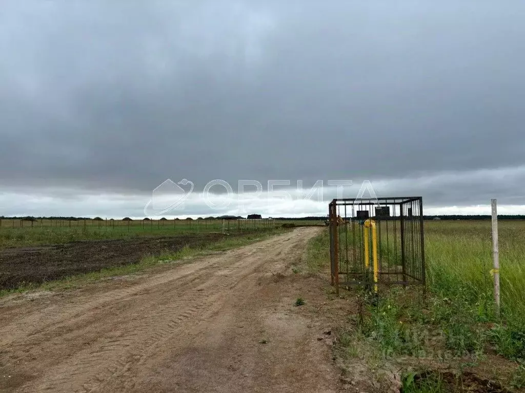 Участок в Тюменская область, Тюменский район, Новокаменский кп ул. ... - Фото 0