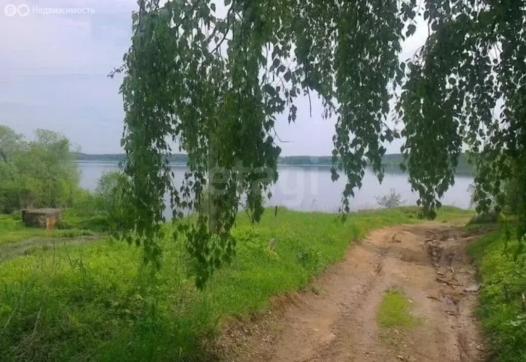 Участок в Ярославская область, Мышкинский муниципальный округ, деревня ... - Фото 2