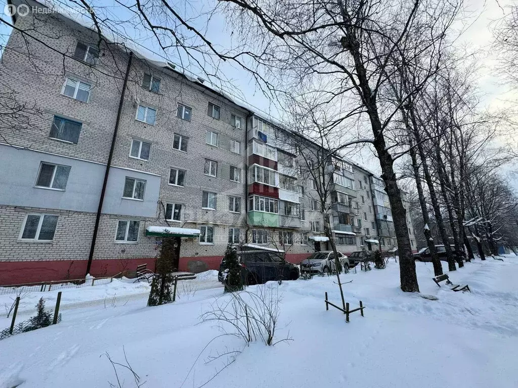 2-комнатная квартира: посёлок Новые Дарковичи, 9 (45 м) - Фото 2