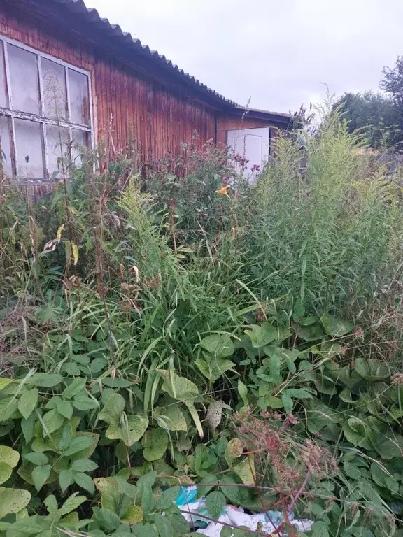 Помещение свободного назначения в Пермский край, Пермь ул. ... - Фото 1