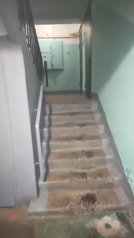 1-к кв. Московская область, Пушкино ул. 50 лет Комсомола, 37 (33.0 м) - Фото 2