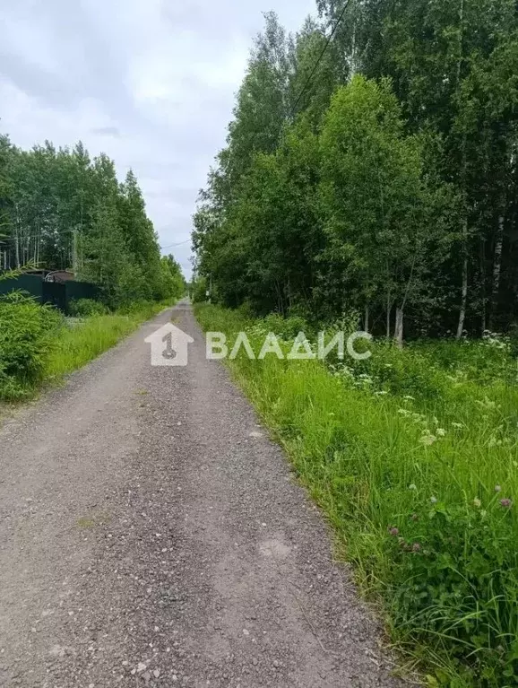 Участок в Ленинградская область, Тосненский район, Форносовское ... - Фото 2