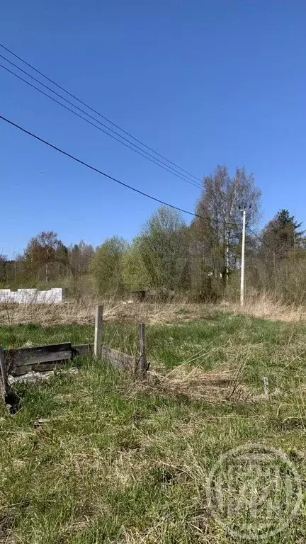 Участок 11 сот. (ИЖС) - Фото 1