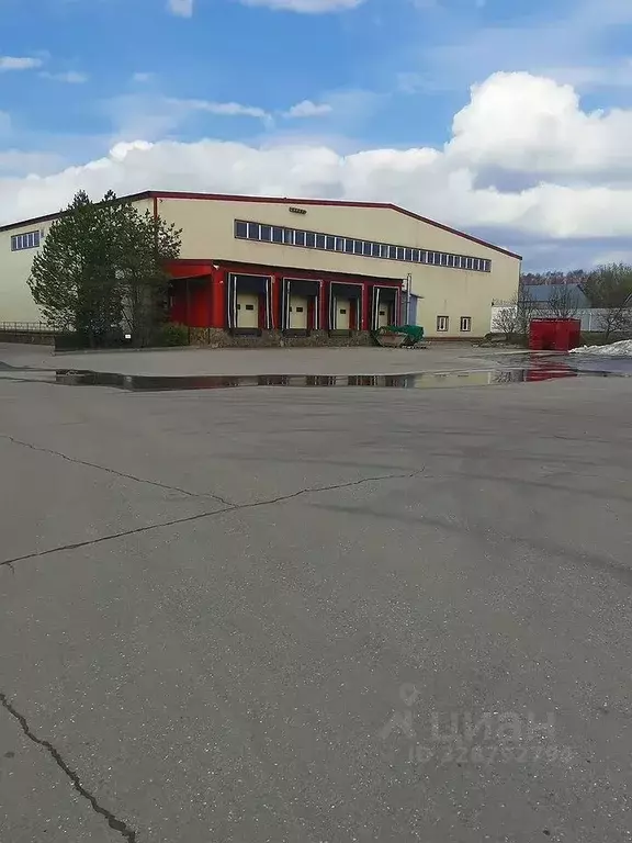 Помещение свободного назначения в Московская область, Домодедово Белые ... - Фото 1