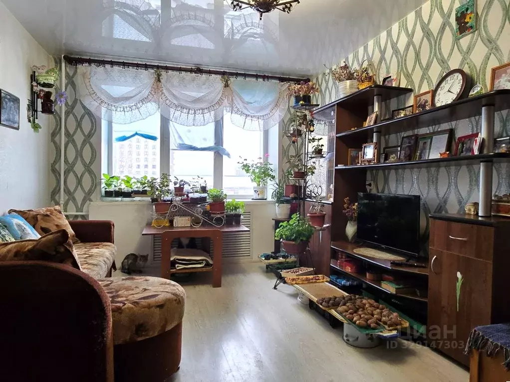 1-к кв. Кировская область, Киров ул. Ленина, 179 (31.0 м) - Фото 2