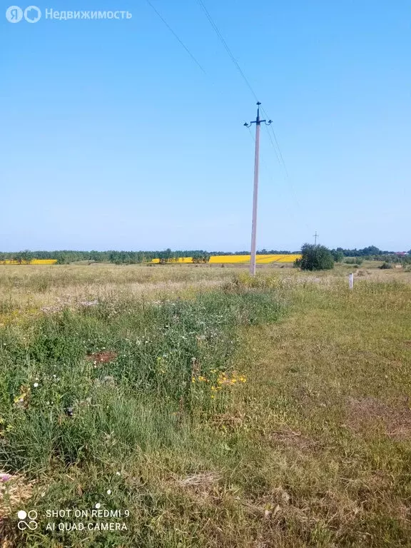 Участок в Новоусманский район, село Орлово (9 м) - Фото 1