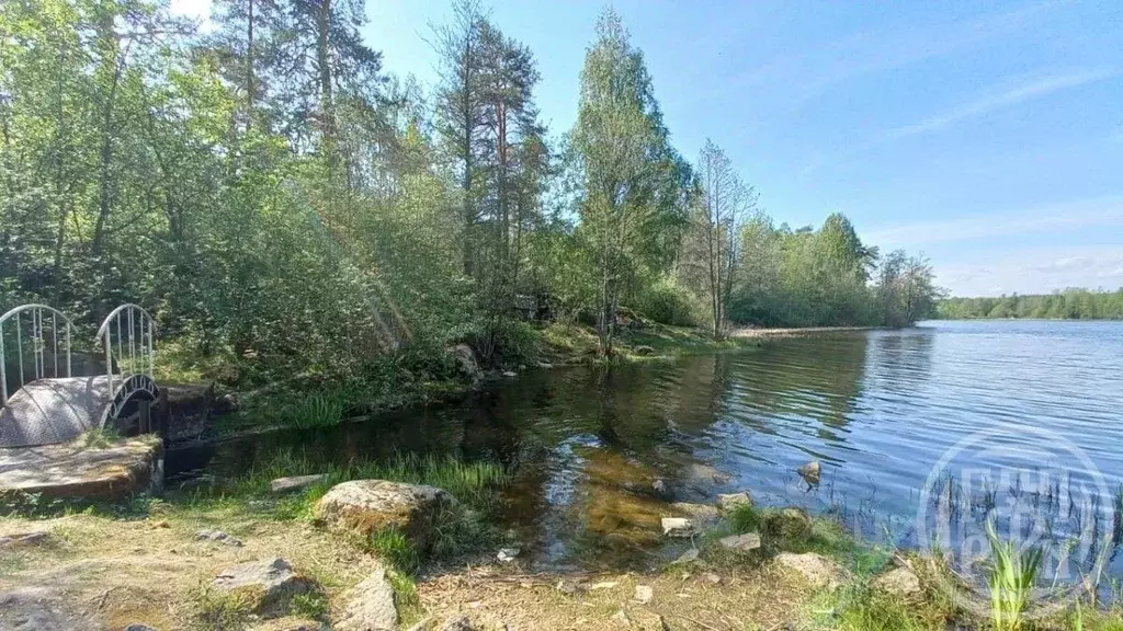 Участок в Ленинградская область, Приозерский район, Севастьяновское ... - Фото 1
