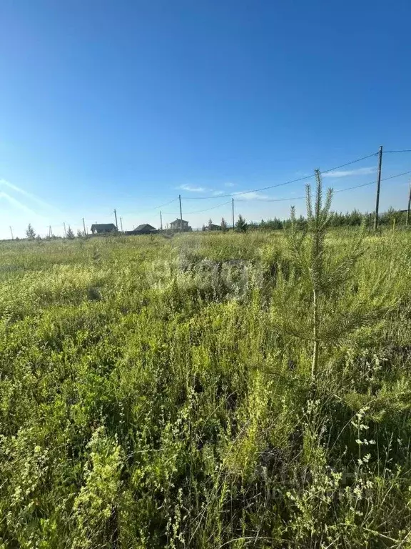 Участок в Татарстан, Тукаевский район, Биюрганское с/пос, д. Кулушево  ... - Фото 1