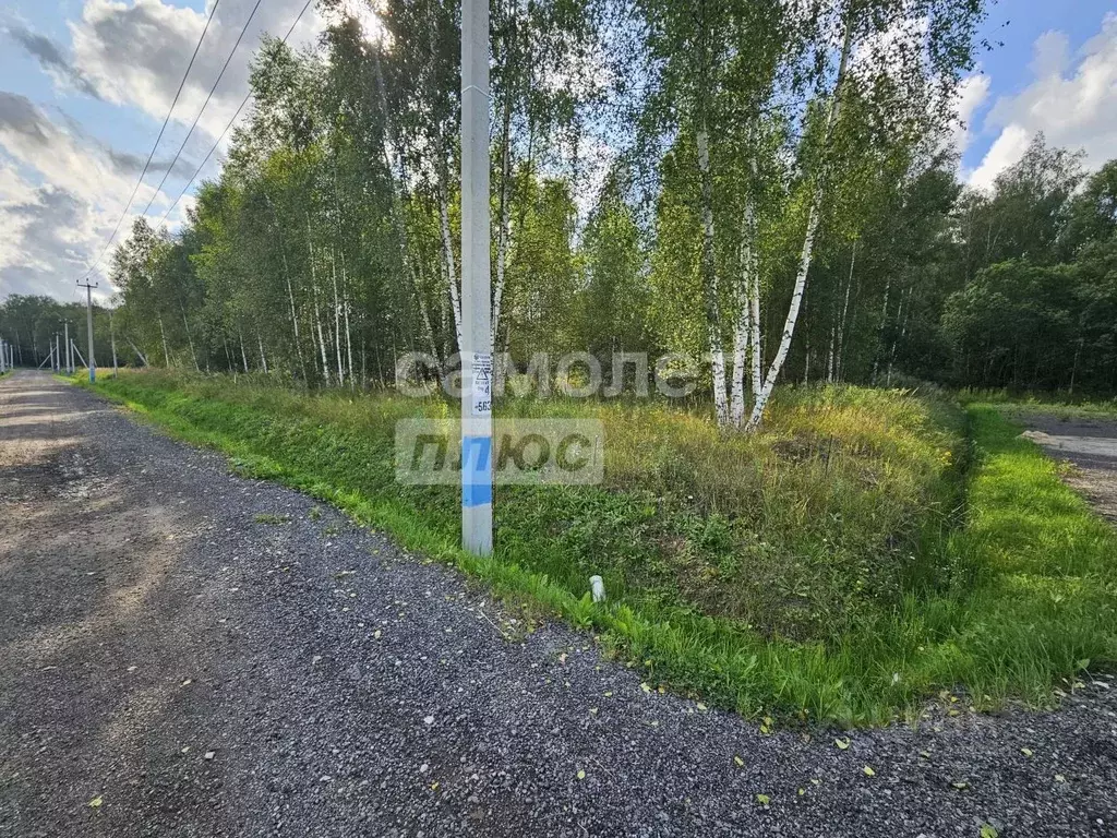 Участок в Московская область, Чехов муниципальный округ, д. Любучаны  ... - Фото 2