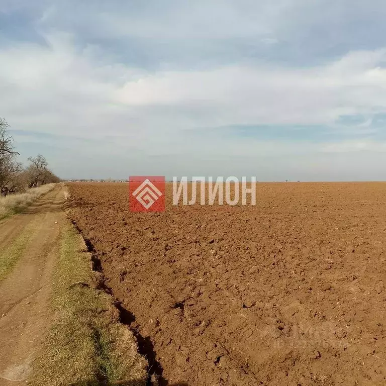 Участок в Крым, Бахчисарайский район, с. Вилино ул. Ленина (620.0 ... - Фото 1