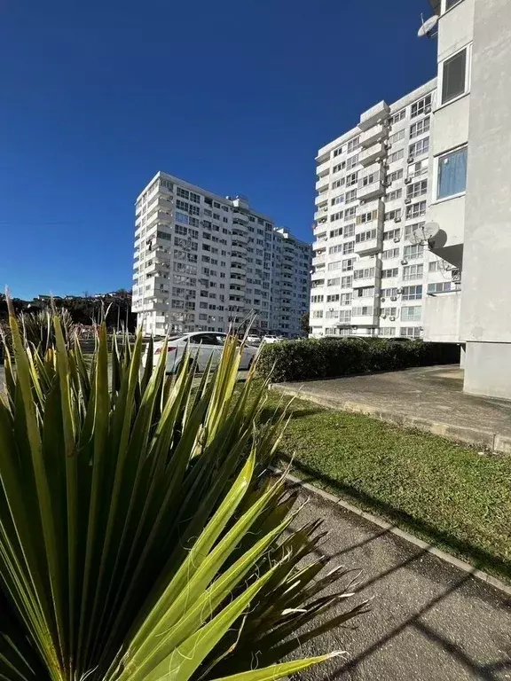 2-к кв. Краснодарский край, Сочи ул. Худякова, 23 (43.0 м) - Фото 1