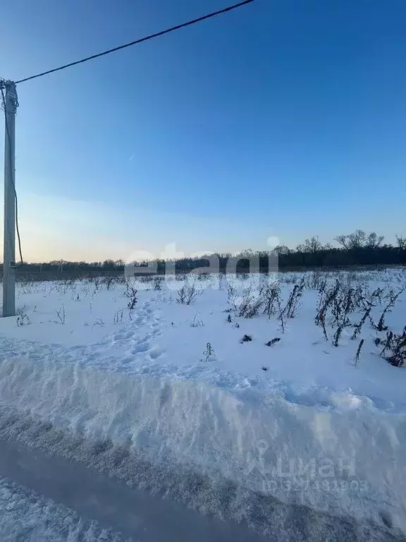 Участок в Тульская область, Веневский муниципальный округ, с. ... - Фото 1